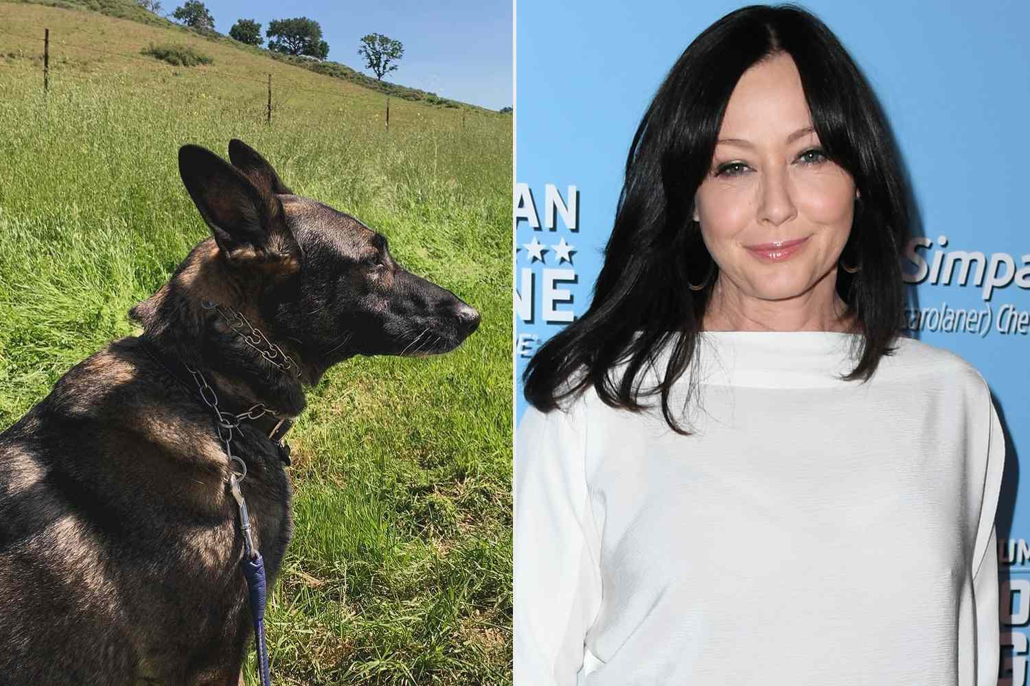 ‘Charmed’ & ‘Beverly Hills 90210’ Star Shannen Doherty, 53, Dies: Tragic Details